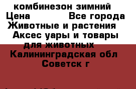 комбинезон зимний › Цена ­ 1 300 - Все города Животные и растения » Аксесcуары и товары для животных   . Калининградская обл.,Советск г.